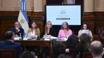 Imagen de Senado: Cristina apura el nombramiento de una camarista con voto decisivo para la causa Hotesur-Los Sauces 