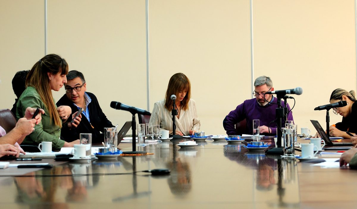 La comisión que preside Liliana Murisi (MPN) comenzó a tratar el endeudamiento. Foto: gentileza.
