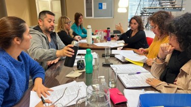 La comisión prepara el dictamen para su próximo tratamiento en el recinto. Foto: gentileza. 