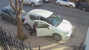 Se bajó a comprar y le robaron en el centro de Cipolletti