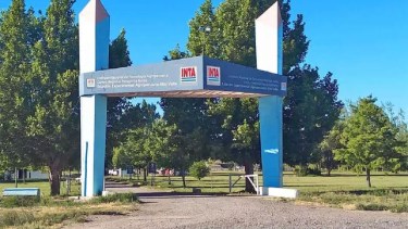 Realizan una volanteada en contra del decreto lanzado por Javier Milei.