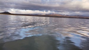 Identificaron una peligrosa alga y prohibieron el acceso a Laguna Blanca