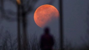 Eclipse lunar del 28 de octubre 2023: dónde y cuándo se verá