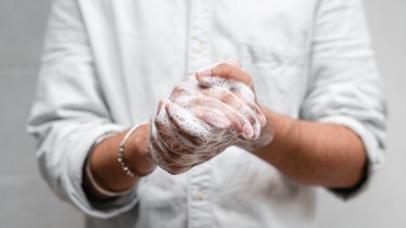 Por qué algunas personas son más atractivas para estos insectos podría residir, en parte, en el tipo de jabón. 