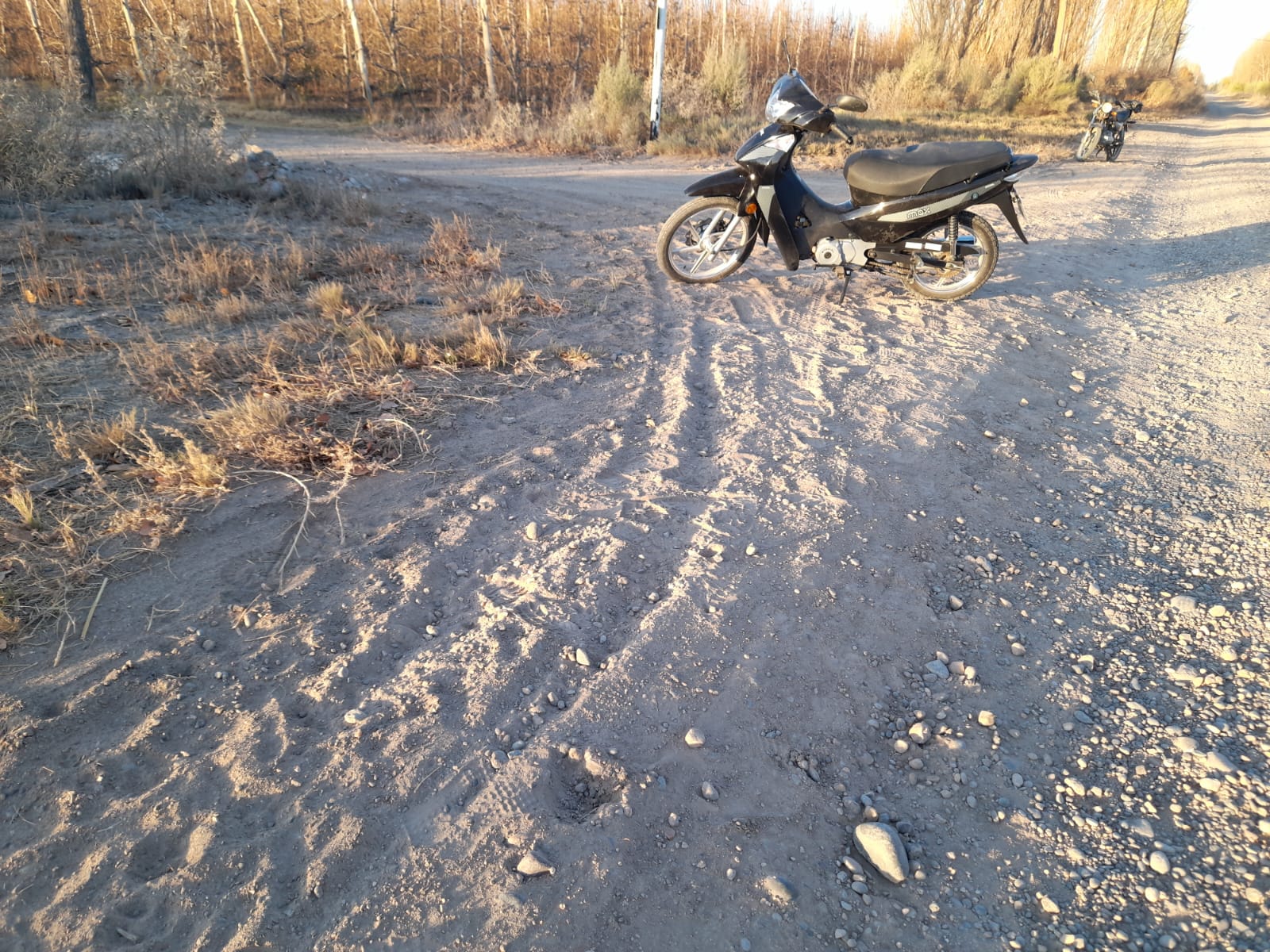 El sujeto abandonó la moto en la zona rural y luego fue detenido en medio de las chacras. foto: gentileza
