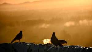 ¿Vuelven las tormentas? Conocé el pronóstico del tiempo para Neuquén y Río Negro esta semana