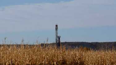 Según el referente, el 70% de los insumos para la producción son importados. Foto: Matías Subat. 