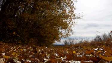 Se espera un otoño más cálido. Foto Matías Subat