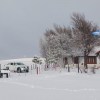 Imagen de «Acá se hace Patria, amigo»: así son los días en un solitario paso fronterizo en la Patagonia rodeado de nieve