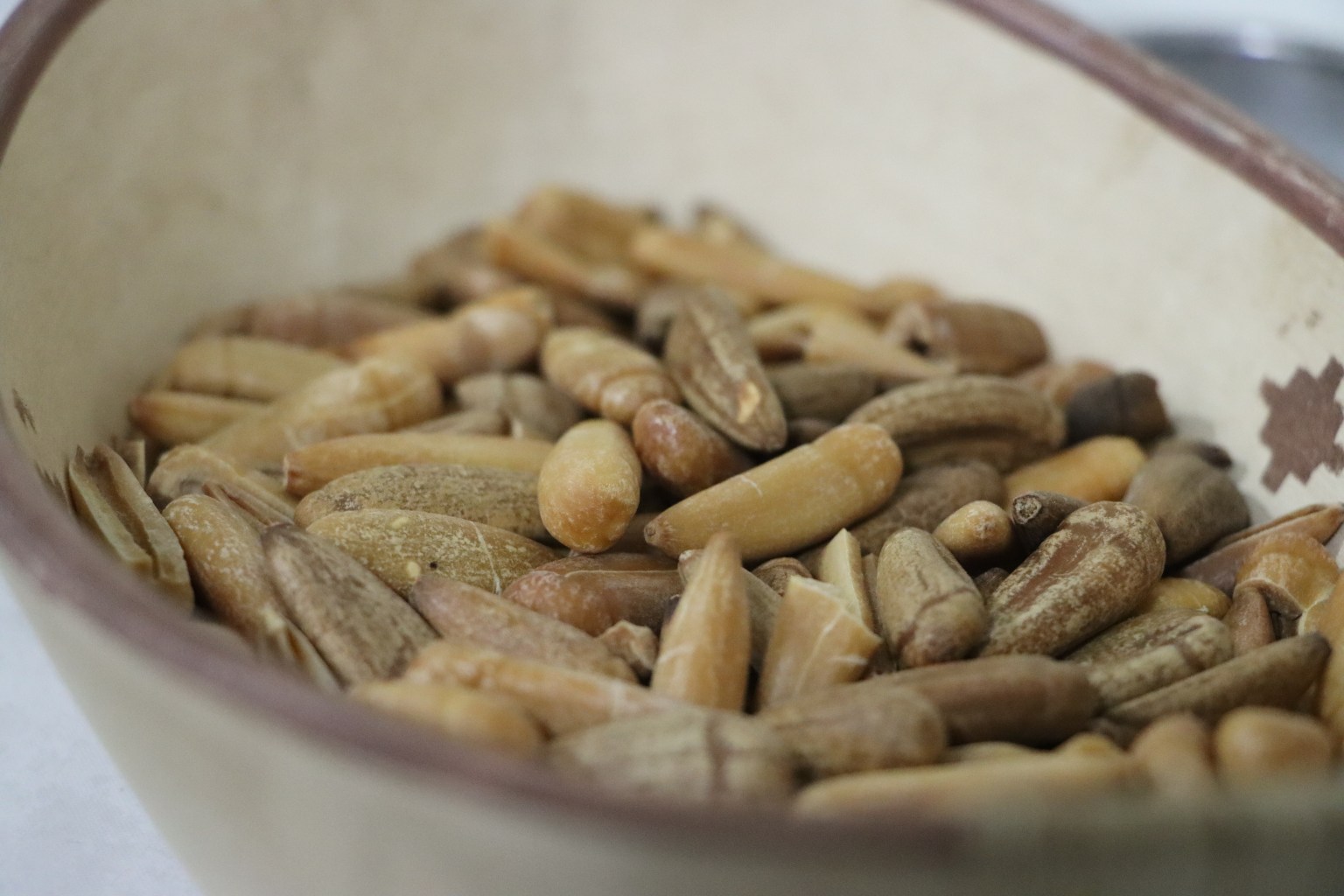 Los licores a base de piñón tendrán su espacio en el Festival Nacional del Chef Patagónico en Pehuenia