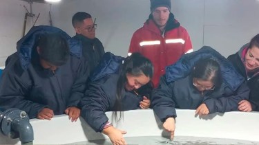 La planta de pescados de Piedra del Águila sumará a personas con discapacidad a su equipo. Foto: Gentileza Idris Patagonia