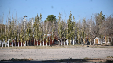 Se espera que la construcción de las viviendas del Procrear Cipolletti inicie en julio 2023 y finalice a finales del 2024. Foto Gentileza.