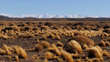 El estudio se llevará a cabo en tres puntos de la Línea Sur. Foto: archivo