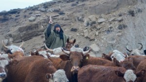 Norte neuquino: el último criancero hacia la invernada en medio de la lluvia y el frío