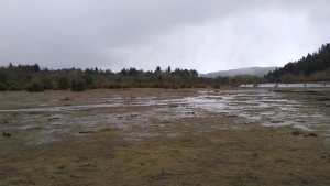 Vecinos del oeste de Bariloche denuncian un loteo en un mallín