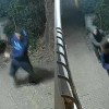 Imagen de Video: vecinos de La Plata esperaron a un delincuente y lo atacaron con un palo