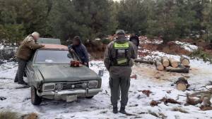 Gendarmería detectó a dos hombres con un cargamento de tala ilegal en Bariloche