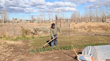 La Colonia Rural Nueva Esperanza pisa fuerte en DIGO