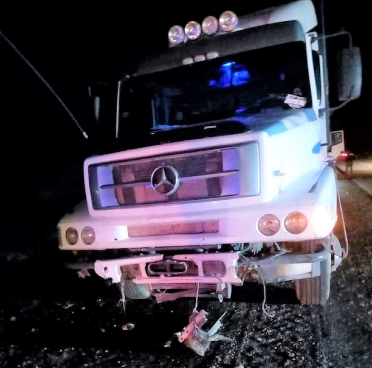 El camión chocó a más de 20 animales sobre la Ruta 7. (Facebook Chañar Digital).-