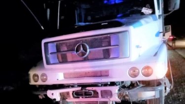 El camión chocó a más de 20 animales sobre la Ruta 7. (Facebook Chañar Digital).-