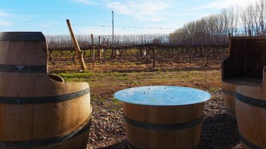 Un recorrido turístico con visitas guiadas por los viñedos, la posibilidad de degustar los más ricos vinos y conocer las chacras.