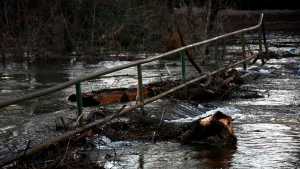 Desmienten audios sobre evacuaciones en Cinco Saltos