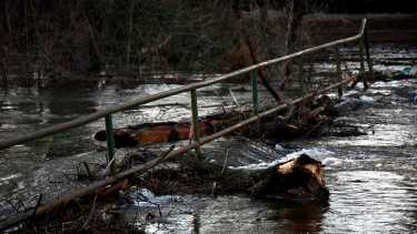 Desde el municipio local desmintieron la información que estaba circulando en redes sociales. Foto: Archivo (Matías Subat).