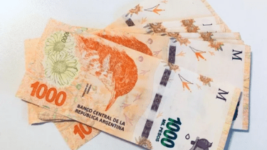 Préstamo de hasta 200 mil pesos para empleadas domésticas. 