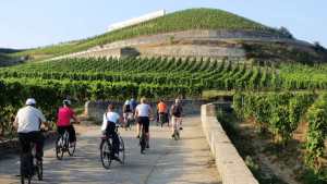 Bodegas y productores vitivinícolas de Neuquén y Río Negro reciben aportes para el desarrollo del enoturismo