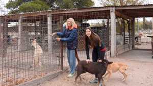APAFO: 23 años a favor de los derechos de los animales en Fernández Oro