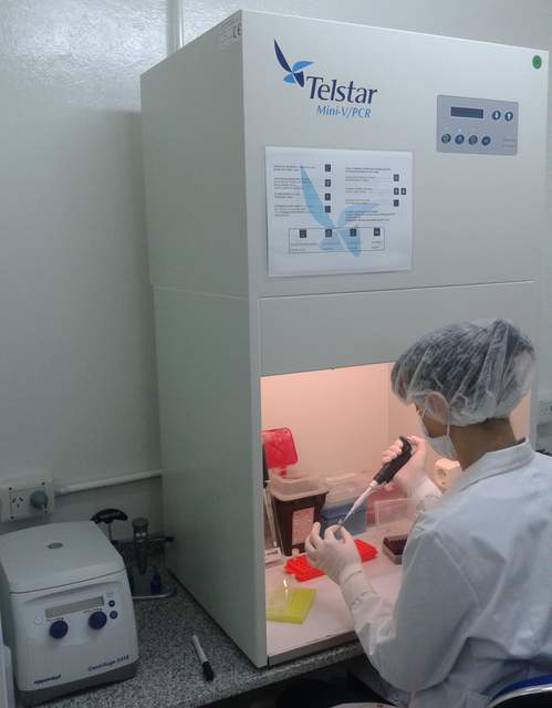 El laboratorio de genética forense de Bariloche colabora en causas civiles, familiares y penales. Foto: Gentileza Ministerio Público