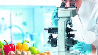 Por qué hablamos de inocuidad alimentaria