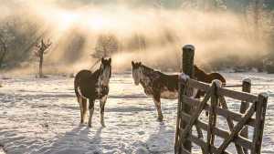 Clima en Río Negro y Neuquén: cuál es el pronóstico del tiempo para hoy