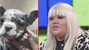 Morena Rial puso en venta su mascota: cuánto pide por el perrito