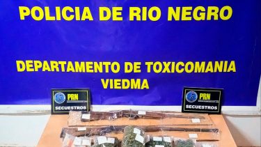 Encontraron drogas, armas y otros elementos tras allanar dos viviendas en Regina y Conesa