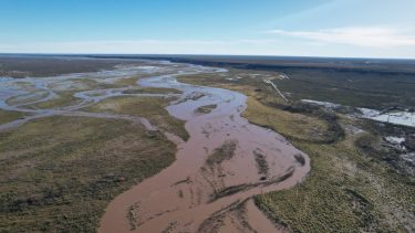 Video: El río Colorado también tuvo una crecida extraordinaria
