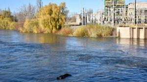 Crecida del río Neuquén en Cipolletti: no afectará el suministro de agua potable