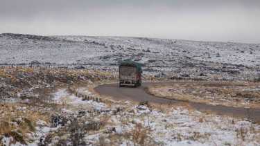 Estado de rutas de Neuquén hoy, jueves 13 de julio de 2023