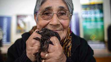 Pasión y disfrute con la lana: hilar, teñir y tejerla; lo que aprendió de niña Elvira en el campo con su familia. (Foto Juan Thomes)
