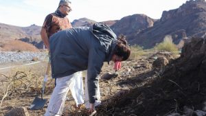 Revelan detalles del hallazgo arqueológico en Andacollo, tras la crecida del río Neuquén