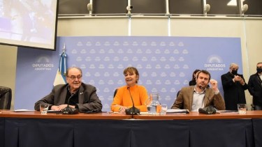 Fuentes legislativas confirmaron que podría lograrse un dictamen la semana próxima. Foto: Gentileza Infocielo. 