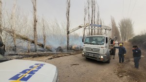 Lo que dejó el temporal en Cipolletti: árboles caídos, incendios y cortes de luz