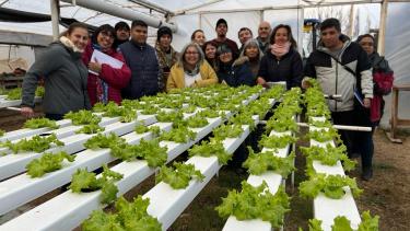 Crece el interés por el cultivo de verduras en agua o sustrato inerte en un curso que se dio en el puesto de capacitación de Plottier (Puesto de Capacitación )