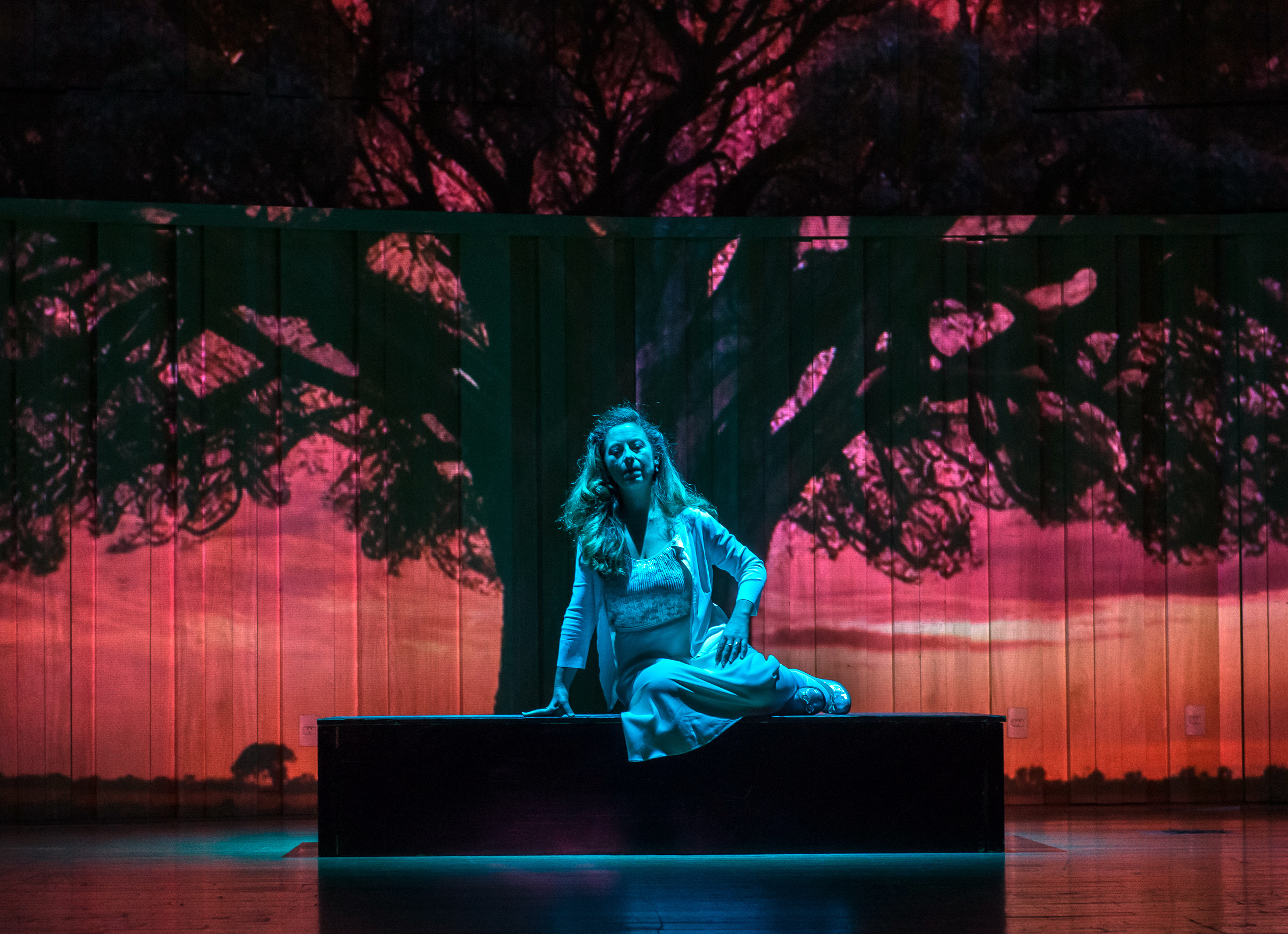 La ópera "Secretos del árbol", se estrenó el fin de semana pasado en la Usina del Arte, (Foto: Liliana Morsia)