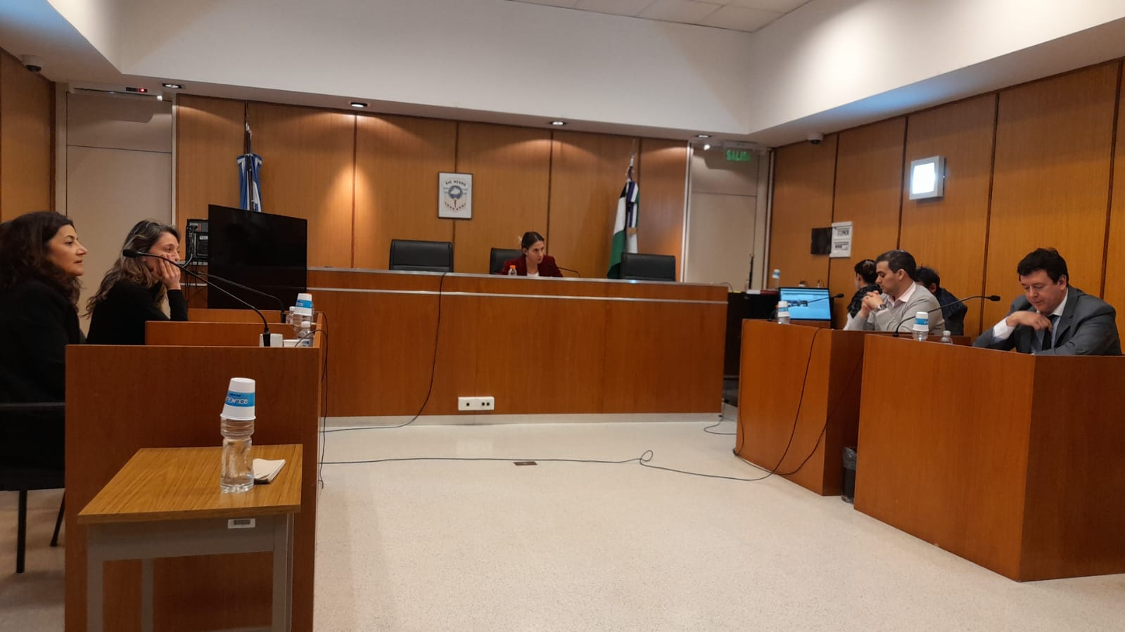 La Jueza de Garantías, María Gadano, encabezó la audiencia realizada esta mañana en el edificio judicial de Roca. foto: gentileza.