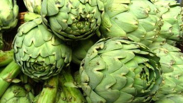 Alcauciles o alcachofas, el ingrediente protagonista de la noche de MasterChef Argentina. Foto: Solo  Vegetales 