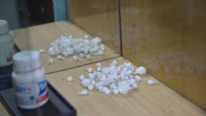 Desbarataron una banda narco en Regina tras dos meses de investigación