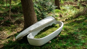 Dar vida después de la muerte: inventaron un ataúd ecológico que facilita el crecimiento de plantas