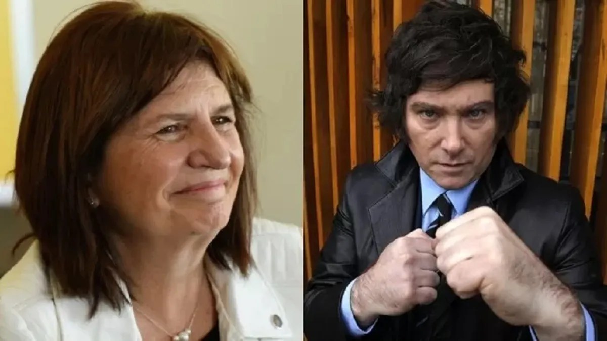 Patricia Bullrich no descartó una alianza con Javier Milei en el Congreso.