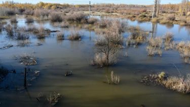 El temporal de junio y la crecida del rio Neuquén, afectaron a  vecinos de Centenario, Vista Alegre. Sauzal Bonito, y Cipolletti. Foto Archivo: Matías Subat